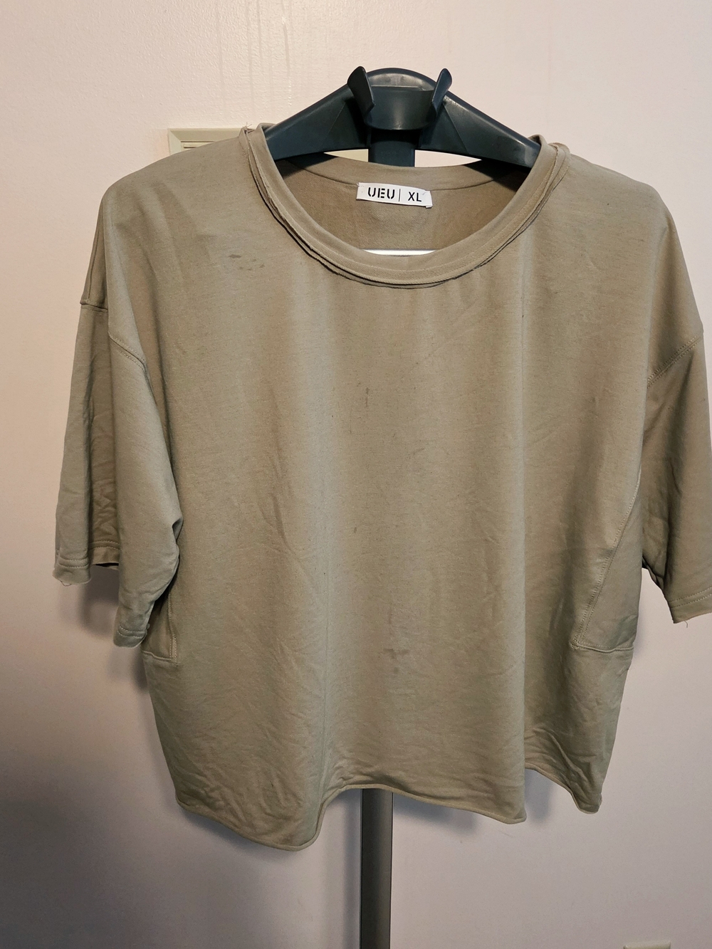 UE Oversized Crewneck Tee in Sage